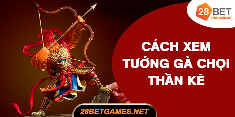 Cách xem tướng gà chọi thần kê